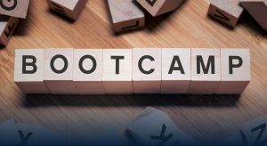 Membangun Portofolio yang Menonjol Wawasan dari Instruktur Bootcamp